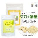 ヤマノ マカ と 葉酸 (約1ヶ月分) 増量中！約1日分おまけ 正規品 マカサプリ サプリメント アルギニン 亜鉛 無添加 妊活 妊婦 葉酸サプリ 鉄 カルシウム サプリ (マカ/袋タイプ)【メール便対応】