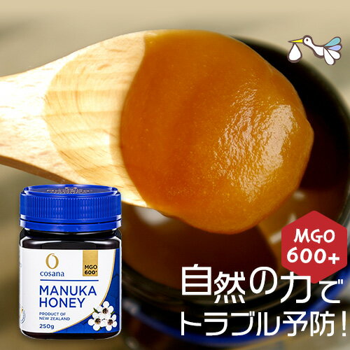 マヌカハニー 250g【MGO600 】コサナ正規販売店 TV放送 チャンハウス ニュージーランド産 非加熱 マヌカ おすすめ まぬか 抗生物質不使用 無添加 無農薬 まぬかはにー mgo 妊活 妊婦 贈り物 ギフト プレゼント manuka【クーポン対象 送料無料】