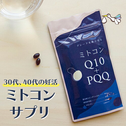 サトウQ10(90粒)