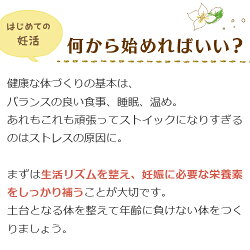 何から始めればいい?