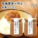 蒸し生姜ペースト 120g お得な2個セット【飲み物や料理に】国産 生姜/ウルトラ生姜/しょうが/ショウガオール/おかず生姜/ジンジャー 贈り物 ギフト 手土産...