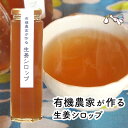 生姜シロップ 180ml 農林水産大臣賞