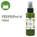 アロマ 季節対策 アロマでグッバイ(スプレータイプ)100ml 子供に優しい天然素材のみで作ったアロマオイル★精油の持つバリアパワーでひく前にガード!5種類の精油をプロセラピストが効果的にブレンド(4)