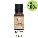 ポイント5倍★メール便送料無料 カユプテ10ml (ホワイトティーツリー)(天然100%アロマオイル)甘酸っぱさを含む、清潔感のあるスッキリとした香り(エッセンシャルオイル 精油★Cajeput)