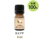 ポイント5倍★メール便送料無料 カユプテ5ml (ホワイトティーツリー)(天然100%アロマオイル)甘酸っぱさを含む、清潔感のあるスッキリとした香り(エッセンシャルオイル 精油★Cajeput)