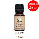 ポイント5倍★メール便送料無料 カユプテ10ml×2本セット(ホワイトティーツリー)(天然100%アロマオイル)甘酸っぱさを含む、清潔感のあるスッキリとした香り(エッセンシャルオイル 精油★Cajeput)