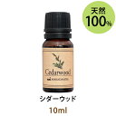 メール便送料無料 シダーウッド10ml(天然100%アロマオイル)甘みの中にも爽やかなスパイシーさを僅かに含んだ香り(エッセンシャルオイル 精油★ Cedarwood)