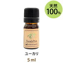 ポイント10倍★メール便送料無料 ユーカリ5ml(天然100%アロマオイル)ユーカリプタス 清潔感があり、クールで染み透るような香り。(エッセンシャルオイル 精油★ Eucalyptus)