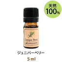 ポイント10倍★メール便送料無料 ジュニパーベリー5ml(天然100%アロマオイル)深く静かな森の木々を思わせるウッディーで爽やかな香り(エッセンシャルオイル 精油★ Juniper Berry)