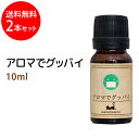ポイント10倍★アロマ 季節対策【メール便送料無料】アロマでグッバイ10ml×2本セット 子供に優しい天然素材のみで作ったアロマオイル★1本でこの冬安心★5種類...
