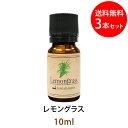 ポイント10倍★メール便送料無料 レモングラス10ml×3本セット(天然由来100%アロマオイル)レモンよりも甘く丸みがあり爽やかながらも強い芳香をもっている爽...