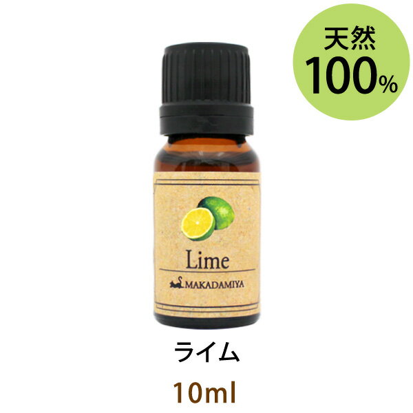 ᡼̵ 饤10ml ŷ100󥨥å󥷥륪 ޥ/̷ϤǤ夤ݤΡ㡼פǥեåʹ/å/ Х(Lime)/̷