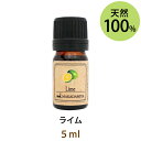メール便送料無料 ライム5ml 天然由来100%エッセンシャルオイル 精油★アロマオイル/柑橘系の中でも落ち着いた印象の、シャープでフレッシュな香り/リラックス...