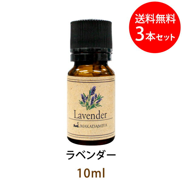 楽天マカダミ屋　楽天市場店メール便送料無料 ラベンダー10ml×3本セット（天然100％アロマオイル）ハーブ特有の土っぽさを残しながら甘さとさわやかさが同居する濃厚なフローラルの香り（エッセンシャルオイル 精油★ Lavender）