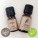 メール便送料無料 ミルラ5ml＆サイプレス10mlセット 天然100％エッセンシャルオイル 精油★アロマオイル(Cypress)(Myrrh)