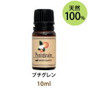 メール便送料無料 プチグレン10ml(天然由来100%アロマオイル)小枝の香りの中にも柑橘系のほのかな爽やかさとフローラルの柔らかさが感じられる香り(エッセンシャルオイル 精油★ Petitgrain)(4)