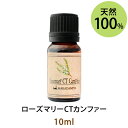 ポイント10倍★メール便送料無料 ローズマリーCTカンファー10ml(天然100%アロマオイル)クールで清涼感のある染み透るような香り勉強部屋や仕事場の香りとしてもお勧め(エッセンシャルオイル 精油★ Rosemary)