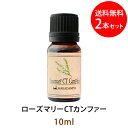 メール便送料無料 ローズマリーCTカンファー10ml×2本セット(天然由来100%アロマオイル)クールで清涼感のある染み透るような香り勉強部屋や仕事場の香りとし...