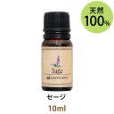 ポイント5倍★メール便送料無料 セージ10ml(天然100%アロマオイル)鋭くクリアなハーブの香りで(エッセンシャルオイル 精油★ Sage)