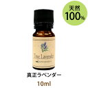 メール便送料無料 真正ラベンダー10ml(天然100 アロマオイル)原種のラベンダーで優れた華やかでフローラルな甘みと バランスのとれた酸味 ハーバルさが特徴です(エッセンシャルオイル 精油★ TrueLavender)