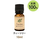 メール便送料無料 ティーツリー10ml(