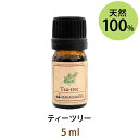 メール便送料無料 ティーツリー5ml(天然100%アロマオイル)シャープで鋭く若葉を想像させるフレッシュさに満ち溢れた香り(エッセンシャルオイル 精油★ Tea-tree)