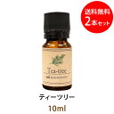 ポイント10倍★メール便送料無料 ティーツリー10ml×2本セット(天然由来100%アロマオイル)シャープで鋭く若葉を想像させるフレッシュさに満ち溢れた香り(エッセンシャルオイル 精油★ Tea-tree)