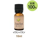メール便送料無料 イランイラン10ml(1st) エッセンシャルオイル 天然由来100% 精油の中でも人気のある香り(精油★ アロマオイル アロママッサージ YLANG YLANG)