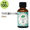 ハッカ油30ml ハッカオイル メンソール ミント 薄荷油 精油 ペパーミント油 アロマ メントール スプレー ハッカソウ …