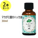 ハッカ油30ml×2本 ハッカオイル メンソール ミント 薄荷油 精油 ペパーミント油 アロマ メントール スプレー ハッカソウ はっか脱脳油 はっか白油 和種ハッカ