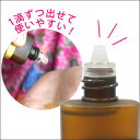 ポイント10倍★メール便送料無料 初回限定 ひまし油20ml (キャスターオイル) エドガー ケイシー 美容オイル ボタニカル ヒマシ油 天然100%マッサージオイル 3