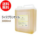 ポイント10倍★送料無料 ライスブランオイル3000ml (米油 米ぬか油 ライスオイル/コック付) 国内産 国内精製 天然100%植物性 ボタニカルオイル 大容量・業務用