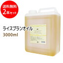 送料無料 ライスブランオイル3000ml 2本セット 米油 米ぬか油 ライスオイル/コック付 国内産 国内精製 天然100%植物性 ボタニカルオイル 大容量・業務用