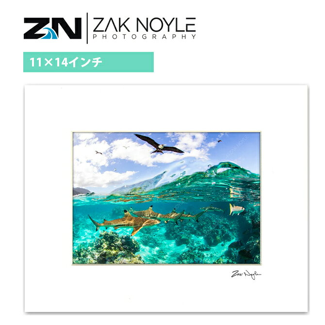 【11×14インチ】 ザックノイル マットプリント Beyond the Reef 28.0×35.5cm【zak noyle ハワイ 写真 インテリア ハワイアン雑貨 ハワイアンアート サーフィン 海 波 自然 アート 壁掛け プリント フォト グラフィック リゾート サーフ 西海岸 】