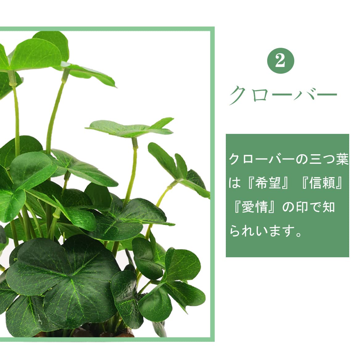 Lilizero ������ �ե��������꡼�� 3�����å� ��󥹥ƥ� �������С� ���������� �ե����� ���տ�ʪ ��� ȭ���� ¤�� �͹����տ�ʪ ����ƥꥢ ���� ���ä��餺 �������� ���ե��� �ۡ��� �ǥ��졼�����