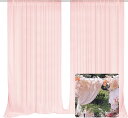 EMART 背景布 2点 背景カーテン 150x300cm 結婚式用 パーティー 記念撮影 飾り DIY シフォン生地 光沢感が良い しわ防止 シアー背景カーテン ピンク(ストラップ2点付き)