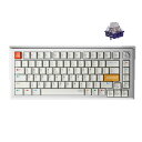 DrunkDeer A75 ウルトララピッドトリガーキーボード 75% eスポーツゲーミングキーボード 磁気スイッチ - 調節可能な作動 - 0.01mm RT Plus RTマッチ - 8K Hz、ANSI、ホワイト - Qian Switch