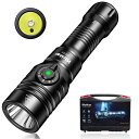 Wurkkos DL03 ダイビングライト 2800ルーメン白色光 、1000メートル緑色光、 Type C 充電式懐中電灯、 水中100Mまで使用可能、潜水訓練用、心肺潜水士、見えにくい物体を識別する