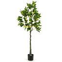 TANGKULA 観葉植物 フェイク 160cm レモンの木 フェイクグリーン 人工観葉植物 造花 インテリア 室内 屋外 フェイク植物 人工 観葉植物 水やり不要 枯れない 盆栽植物 (160cm-レモン)