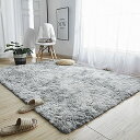 カーペット ラグ 洗える ラグマット 約4畳 200x300cm 滑り止め付 防ダニ 抗菌 防臭 4色選べる 1年中使えるタイプ 北欧 ふわっと手触り 優しいフ...