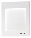 パナソニック(Panasonic) 壁埋込型 LED誘導灯 片面型・一般型(20分間) 自己点検機能付/C級(10形) FA10303CLE1