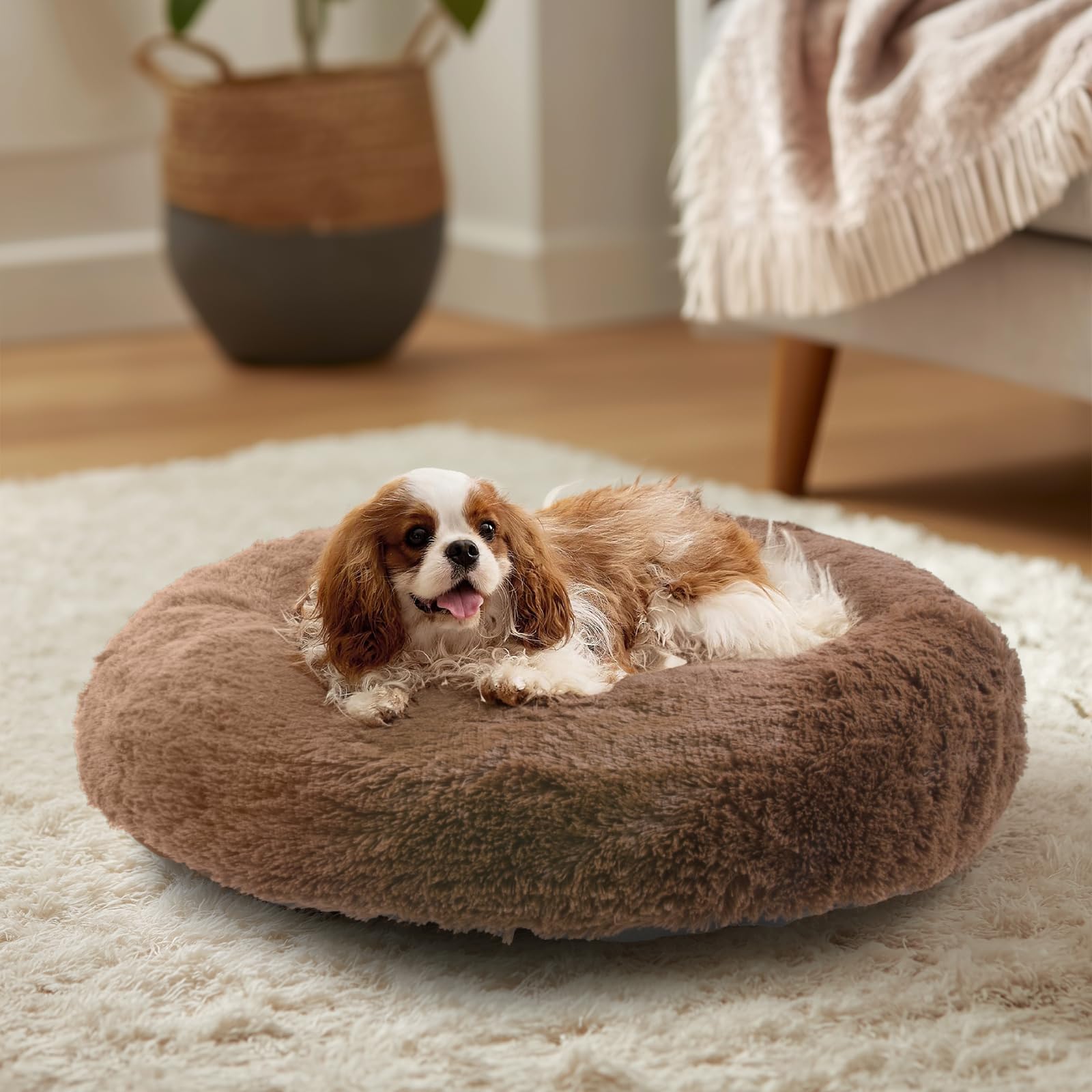 JEMAジェマ 犬ベッド猫ベッド ペットベッド 秋冬用 ふわふわ 丸型 クッション ドーナツペットベッド ラウンド型 ぐっすり眠る 小型猫用 小型犬用 もこもこ 暖かい 滑り止め付き 冷房対策 防寒 寒さ対策 洗濯機洗い可 取り外し可能なカバー 直径約58