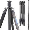 カーボン三脚 ARTCISE 10層カーボンファイバー材質 軽量トラベル三脚 全高1645mm 2023年 デザイン 29mmパイプ径 四段ナットロック式 撮影三脚 三段開脚 一脚伸縮可変式 プロカメラ三脚三脚バッグ 付き ビデオ デジタルカメラ 一眼レフ