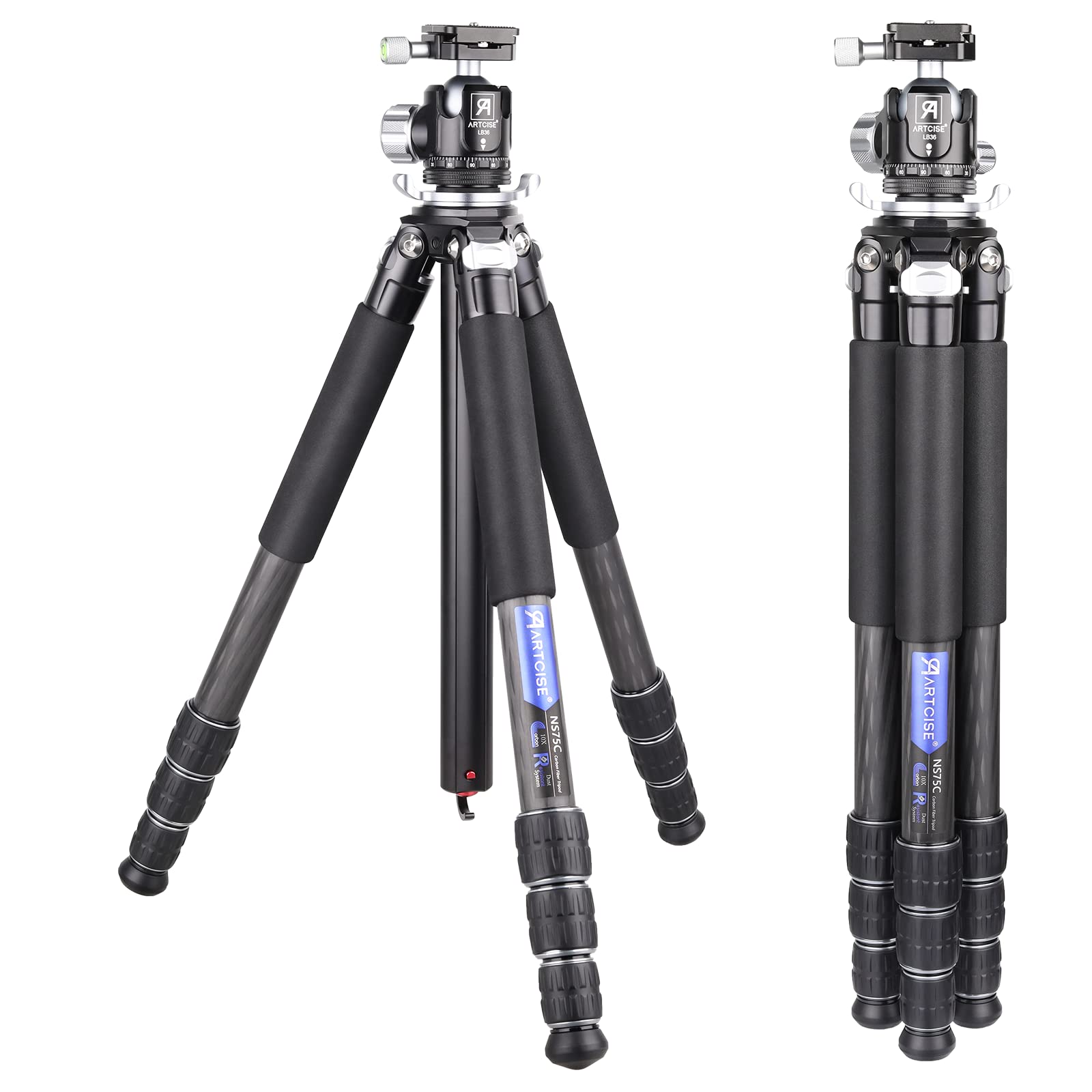 ܥ󻰵 ARTCISE 10إܥեС ̥ȥ٥뻰 1650mm 2024ǯ ǥ 29mmѥ׷ ...