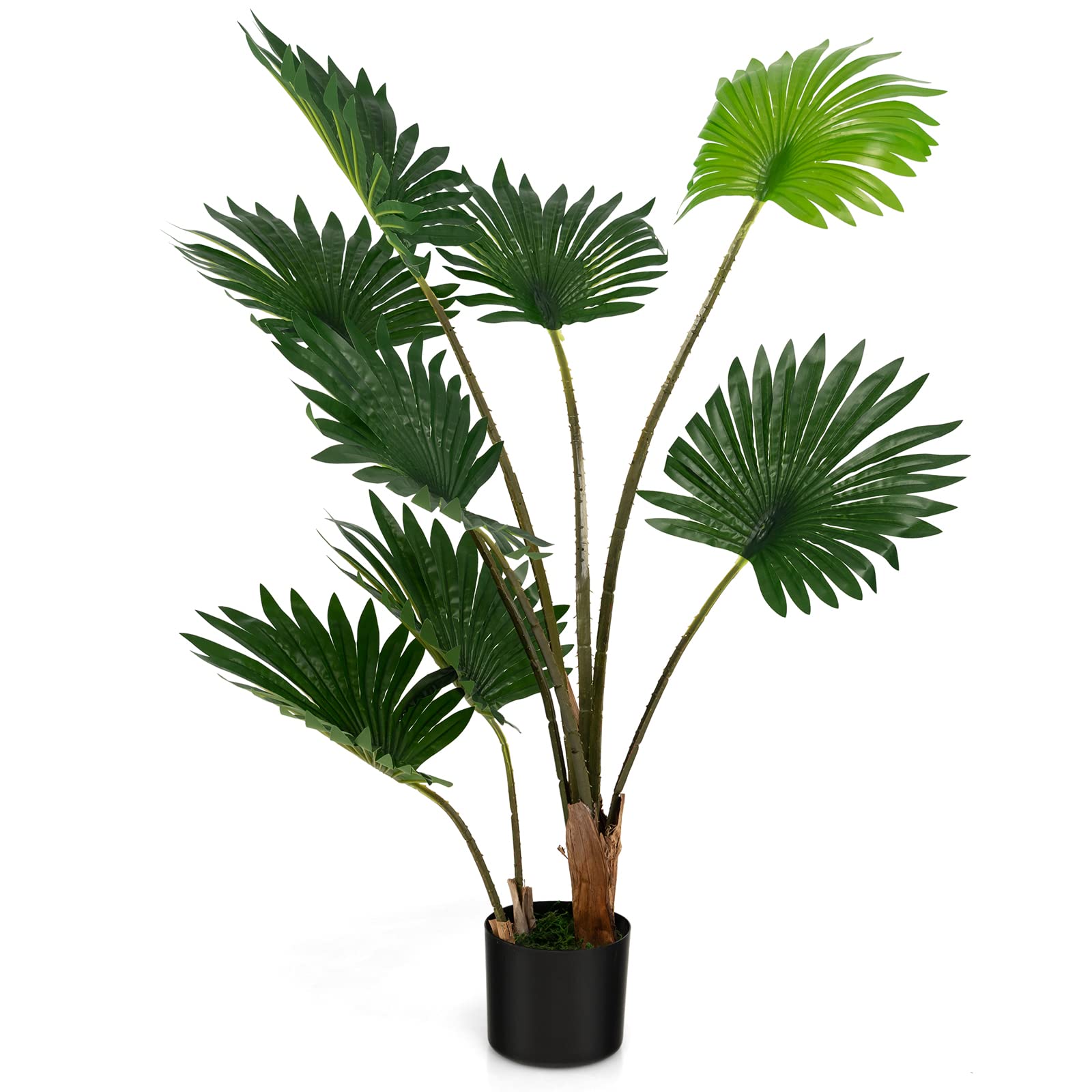 TANGKULA ͹ տʪ ե 120cm ե꡼ ¤ ƥꥢ  եʪ ͹տʪ (1009...