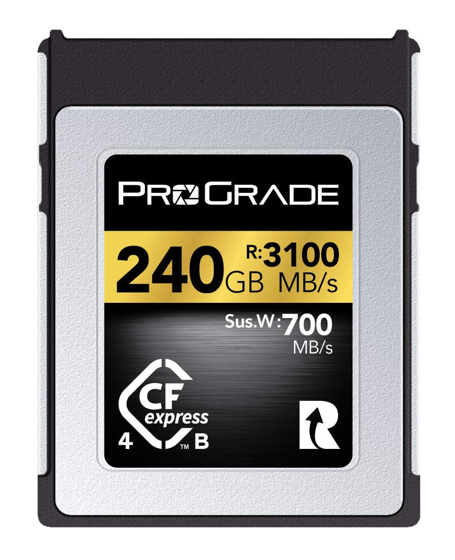 楽天市場】cfexpress typeb pro gradeの通販