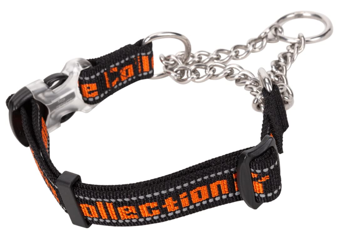 cocomall 引っ張ると首が締まるタイプ 2022最新トレーニング犬の首輪 しつけ用首輪 日本授権店 TRUE LO..