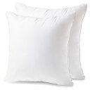 クッション 中身 40×40cm 2個セット 綿100%側生地 綿を贅沢に詰め込み 中綿増量15% 潰れない ソファークッション ヌードクッション 洗える 抗菌防臭 防カビ 柔らかい Phantoscope