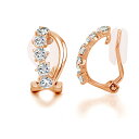 Immobird イヤリング ピンクゴールド レディース 人気 最高級ジルコニア 「優しい葉」シルバー925 金属アレルギー対応 痛くないイヤリング 葉の形 ノ...