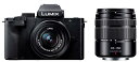 パナソニック(Panasonic) 小型・軽量ミラーレス一眼カメラ ルミックス ダブルズームレンズキット ブラック DC-G100DW-K